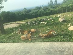 -西安秦岭野生动物园