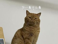 -九华山(地铁站)