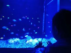 -常州海昌海洋探索馆