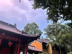 -灵谷景区
