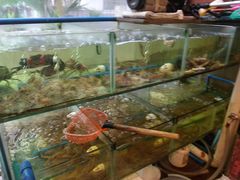 -六婶西关小厨(光塔路店)