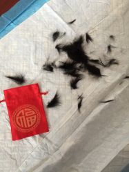 -龙文宝贝上门婴儿理发满月剃胎毛(总店)