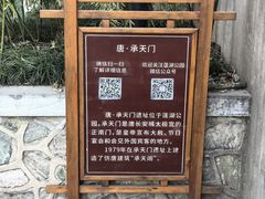 -莲湖公园