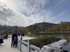 -千年银杏谷文化旅游区