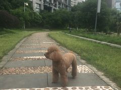 -佳雯宠物医院(四明中路分院)