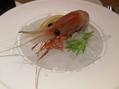 -都会尚膳·海鲜自助餐厅(重庆万豪酒店)