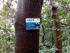 -广州市白云山风景名胜区
