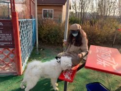 -萌宠亲子动物乐园(槐房万达店)