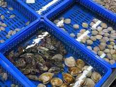 -双月饭店·20年老字号(新村店)