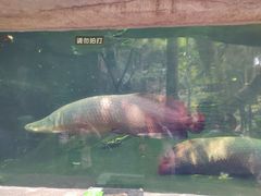 -青青世界