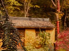 -杭州上天竺法喜讲寺