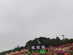 -枇杷园食为鲜火锅(南山店)