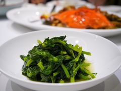 高山豆苗-南麓·浙里(外滩店)