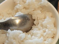 -郑州烤鸭总店