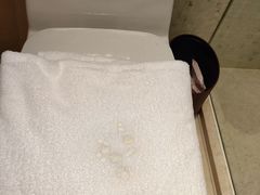 -上海雅居乐万豪侯爵酒店