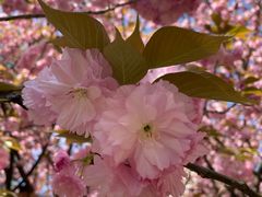 -苏州河梦清园环保主题公园