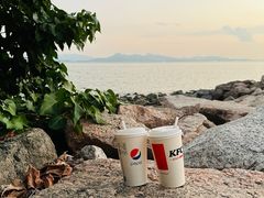 -深圳湾公园(南山区)