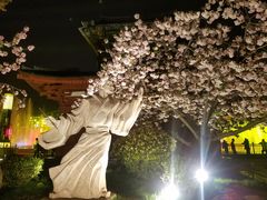 -大雁塔北广场音乐喷泉