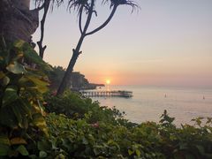 -Rock Bar Bali(Bali)