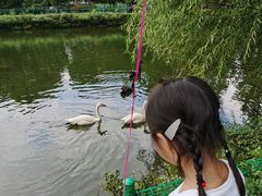 -长白岛森林公园