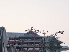 -海口万豪·大堂吧·望海吧.日落海景·下午茶·奶茶·咖啡·轻食·蛋糕·鸡尾酒·清吧