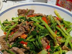 -壹盏灯(惠农店)