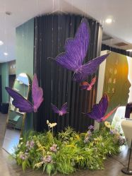 -苏州奥拉克美容医院