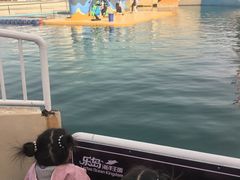 -秦皇岛乐岛海洋王国