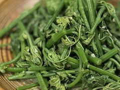 清炒丝瓜尖-滇越乘象云南餐厅(豆各庄店)