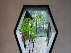 -秋霞圃