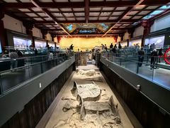 -北京大葆台遗址博物馆