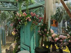 -正佳雨林生态植物园