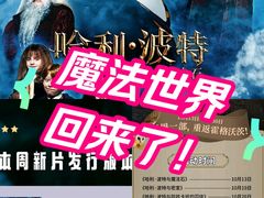-飞扬影城(正佳IMAX店)