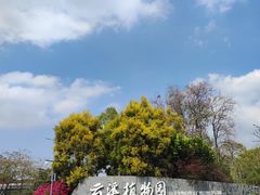 -云溪植物园
