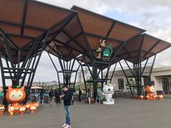 -上海长兴岛郊野公园