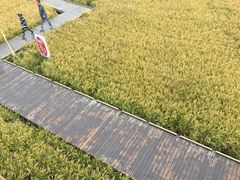 -红海滩国家风景廊道
