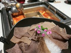 -鼎膳常火锅(华阳店)