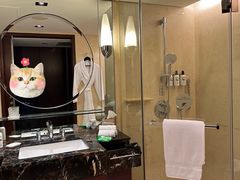 -上海波特曼丽思卡尔顿酒店