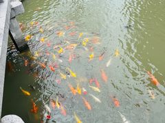 -圆通寺