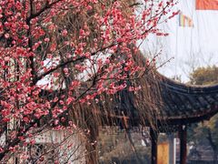 -枫桥景区