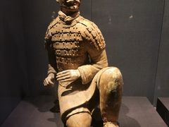 -陕西历史博物馆