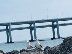 -黑石礁公园