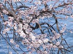 -颐和园