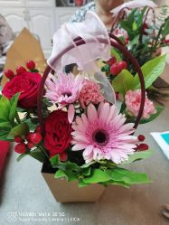 -东方爱堡国际母婴会所(廊坊首店广阳店)