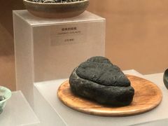 -盘龙城国家考古遗址公园