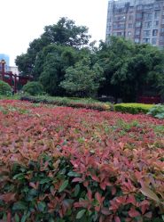 -婚礼宴会中心-芙蓉国温德姆至尊豪廷大酒店