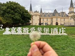 -北京张裕爱斐堡酒庄