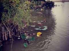-朱仙镇启封故园景区