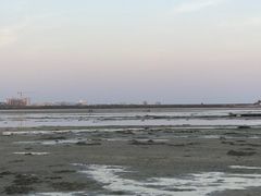 -北海金海湾红树林生态旅游区