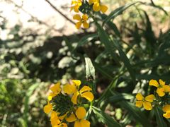 -碓臼峪自然风景区